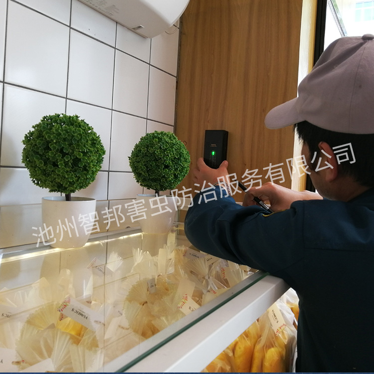 白蚁防治案例展示