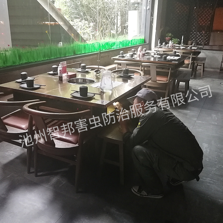白蚁防治案例展示