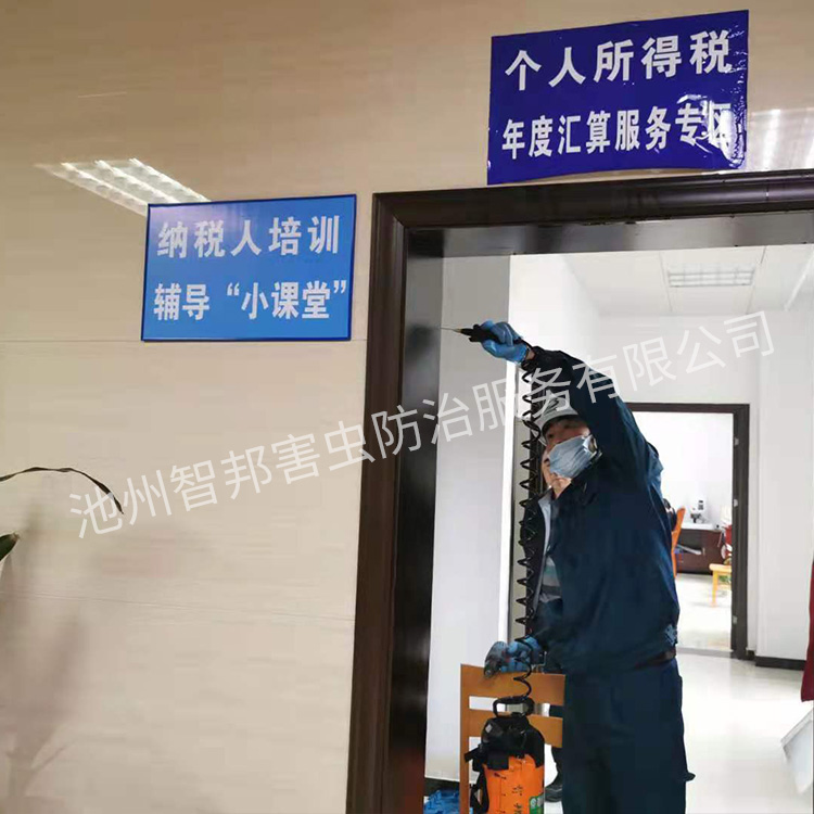 白蚁防治案例展示