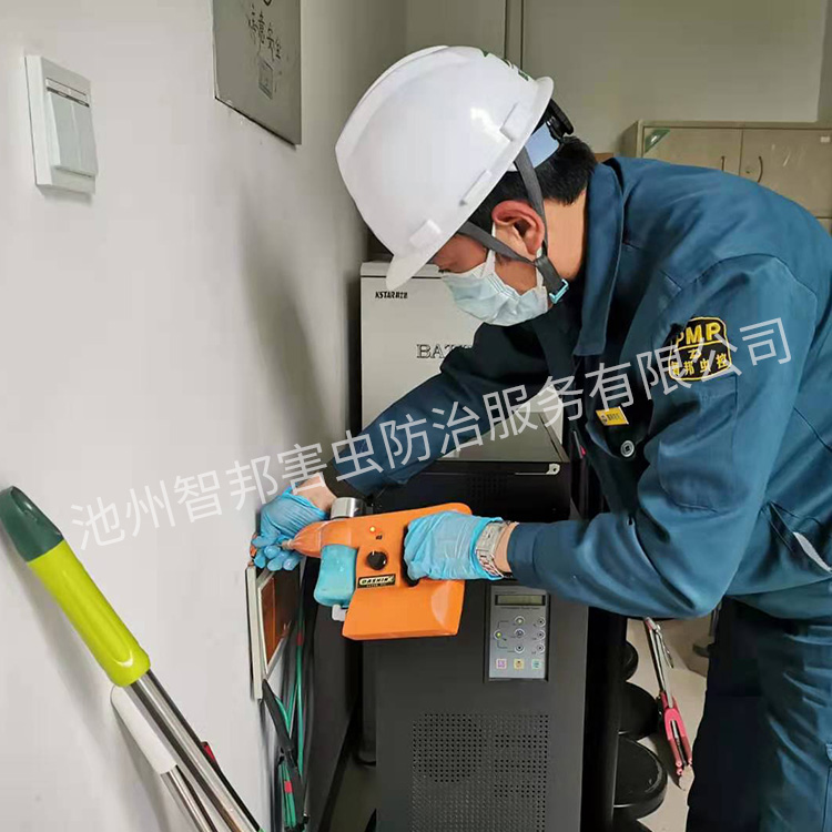 白蚁防治案例展示