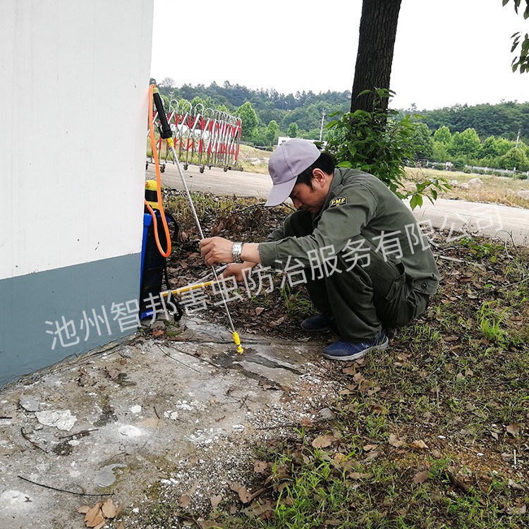 白蚁防治案例展示